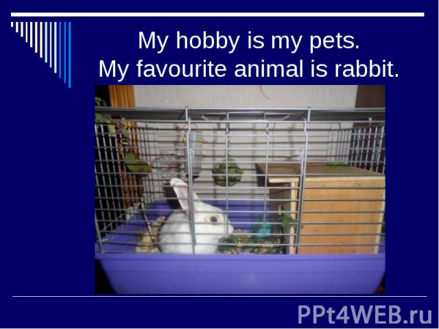 My hobby is my pets. My favourite animal is rabbit.