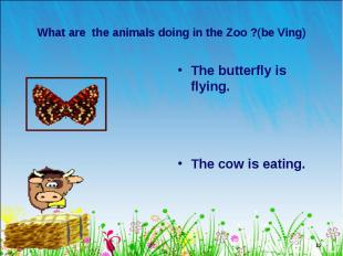 The butterfly is flying. The butterfly is flying. The cow is eating.