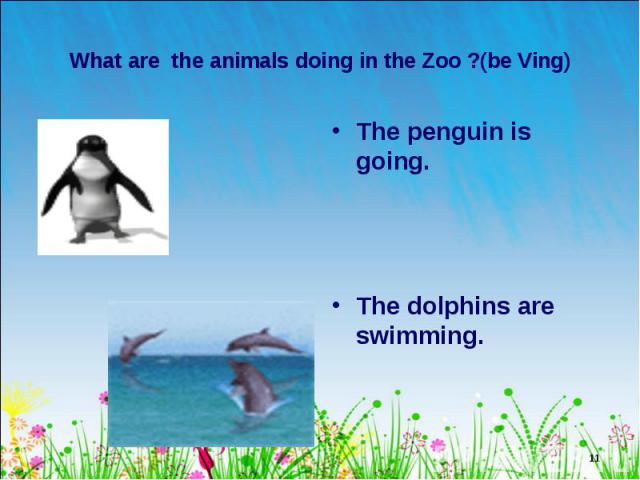 The penguin is going. The penguin is going. The dolphins are swimming.
