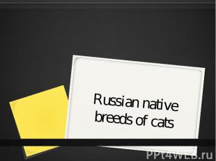 Russian native breeds of cats