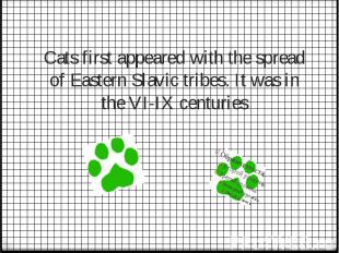 Cats&nbsp;first&nbsp;appeared&nbsp;with the spread of&nbsp;Eastern Slavic tribes