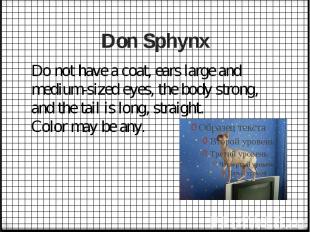 Don Sphynx
