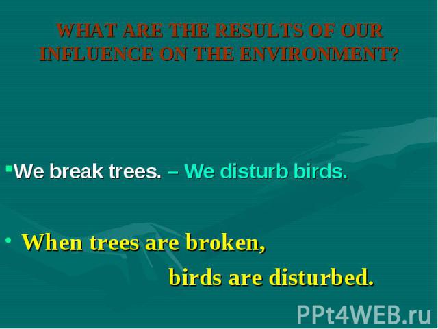 When trees are broken, When trees are broken, birds are disturbed.