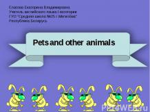 PETS AND OTHER ANIMALS (ДОМАШНИЕ ПИТОМЦЫ И ДРУГИЕ ЖИВОТНЫЕ)
