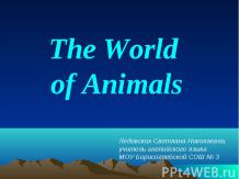 THE WORLD OF ANIMALS
