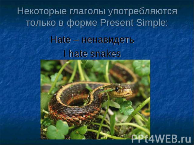 Некоторые глаголы употребляются только в форме Present Simple: Hate – ненавидеть I hate snakes