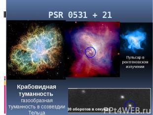 PSR 0531 + 21