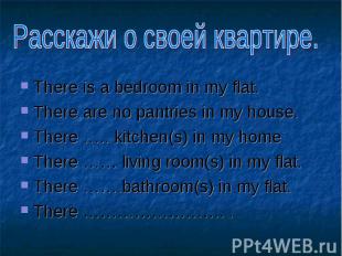 There is a bedroom in my flat. There are no pantries in my house. There ….. kitc