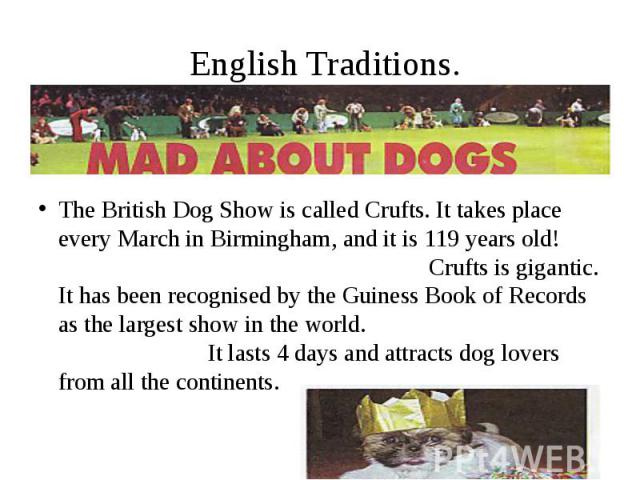 English Traditions. The British Dog Show is called Crufts. It takes place every March in Birmingham, and it is 119 years old! Crufts is gigantic. It has been recognised by the Guiness Book of Records as the largest show in the world. It lasts 4 days…