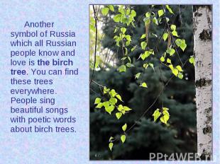 Another symbol of Russia which all Russian people know and love is the birch tre