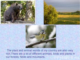 The plant and animal worlds of my country are also very rich.There are a lot of