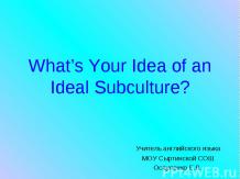 WHAT’S YOUR IDEA OF AN IDEAL SUBCULTURE (ЧТО ВЫ ДУМАЕТЕ ОБ ИДЕАЛЬНОЙ СУБКУЛЬТУРЕ