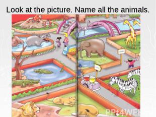 Look at the picture. Name all the animals.