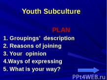 YOUTH SUBCULTURE (МОЛОДЕЖНАЯ СУБКУЛЬТУРА)