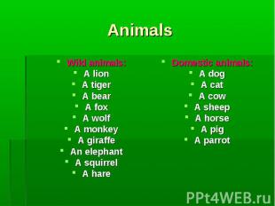 Wild animals: Wild animals: A lion A tiger A bear A fox A wolf A monkey A giraff
