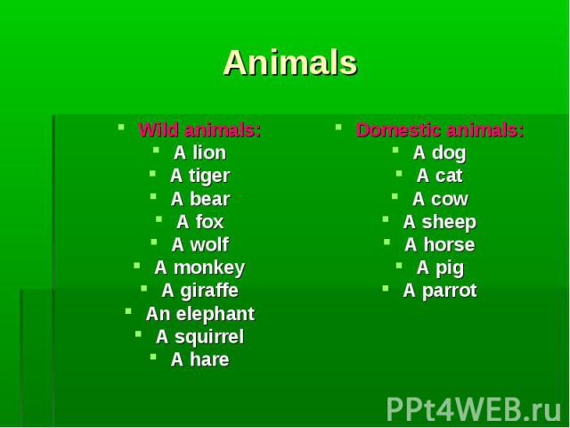 Wild animals: Wild animals: A lion A tiger A bear A fox A wolf A monkey A giraffe An elephant A squirrel A hare