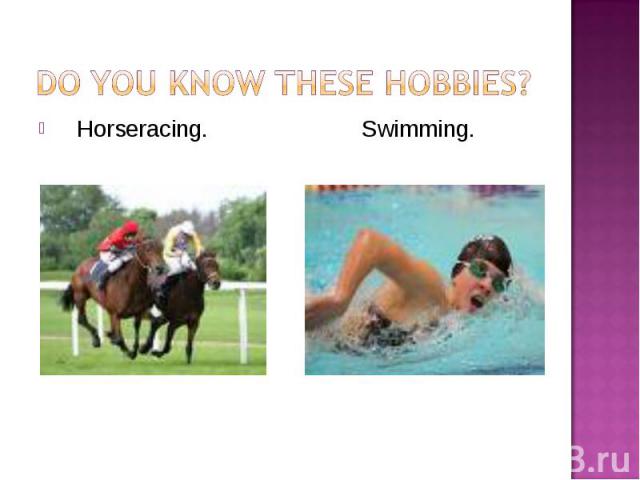 Horseracing. Swimming. Horseracing. Swimming.
