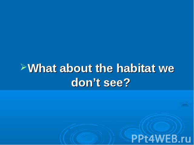 What about the habitat we don’t see?