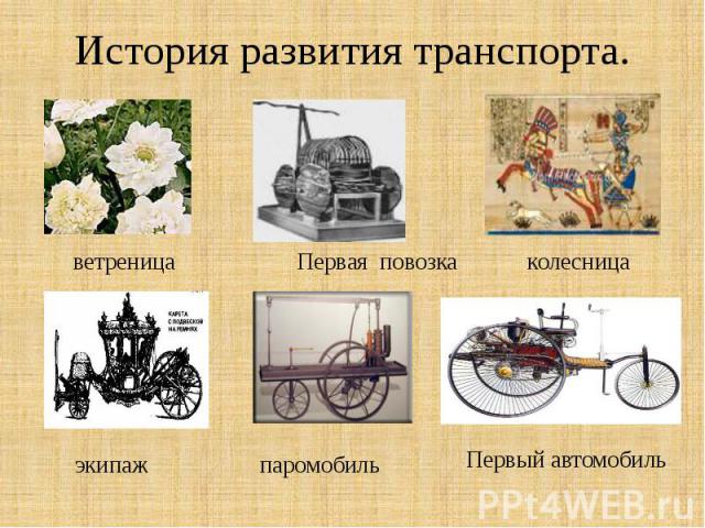 История развития транспорта. ветреница