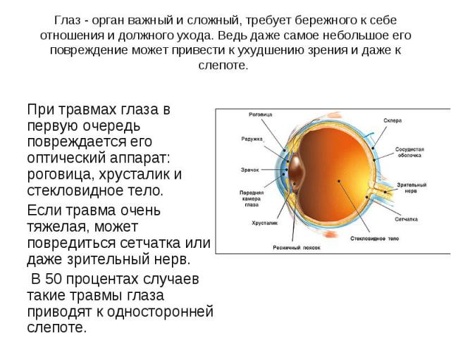 При травмах глаза в первую очередь повреждается его оптический аппарат: роговица, хрусталик и стекловидное тело. Если травма очень тяжелая, может повредиться сетчатка или даже зрительный нерв. В 50 процентах случаев такие травмы глаза приводят к одн…