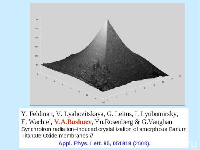 Feldman, V. Lyahovitskaya, G. Leitus, I. Lyubomirsky, E. Wachtel, V.A.Bushuev, Yu.Rosenberg & G.Vaughan Synchrotron radiation–induced crystallization of amorphous Barium Titanate Oxide membranes // Appl. Phys. Lett. 95, 051919 (2009).