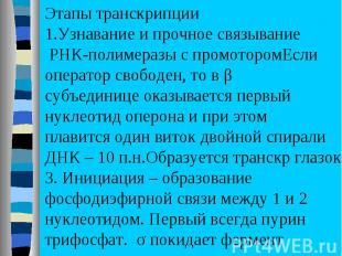 Этапы транскрипции Узнавание и прочное связывание РНК-полимеразы с промоторомЕсл