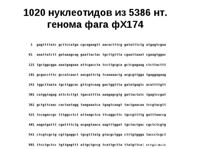 1020 нуклеотидов из 5386 нт. генома фага фХ174