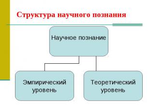 Структура научного познания