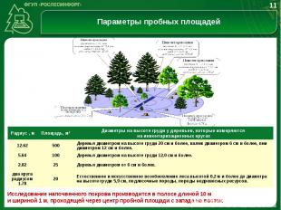 Определение количественных и качественных характеристик лесов с помощью методов