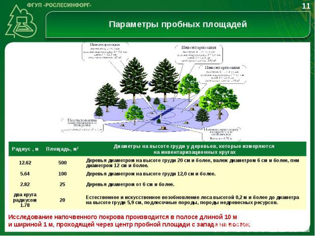 Определение количественных и качественных характеристик лесов с помощью методов математической статистики