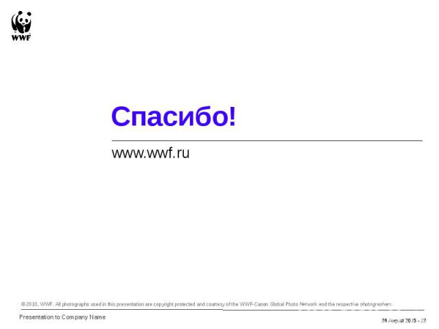 www.wwf.ru www.wwf.ru