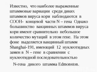 Известно, что наиболее выраженные штаммовые вариации среди диких штаммов вируса