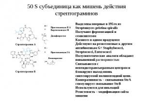 Механизмы действия антибиотиков