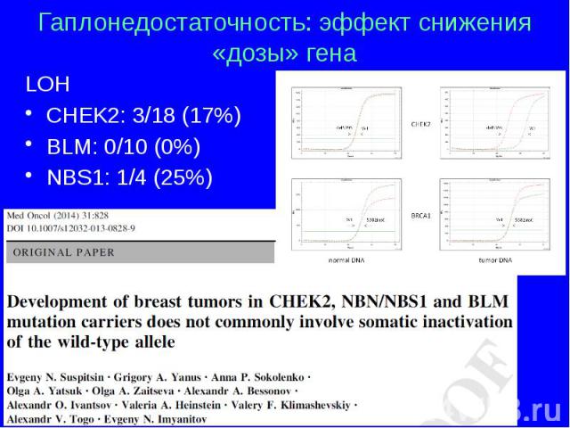 Гаплонедостаточность: эффект снижения «дозы» гена LOH CHEK2: 3/18 (17%) BLM: 0/10 (0%) NBS1: 1/4 (25%)