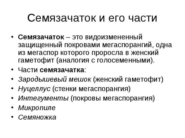 Семязачаток и его части Семязачаток – это видоизмененный защищенный покровами мегаспорангий, одна из мегаспор которого проросла в женский гаметофит (аналогия с голосеменными). Части семязачатка: Зародышевый мешок (женский гаметофит) Нуцеллус (стенки…