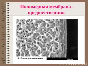 Полимерная мембрана - предшественник