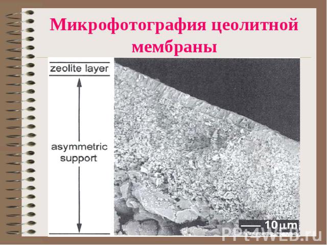 Микрофотография цеолитной мембраны