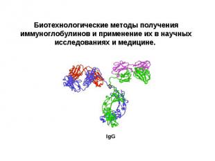 Биотехнологические методы получения иммуноглобулинов и применение их в научных и