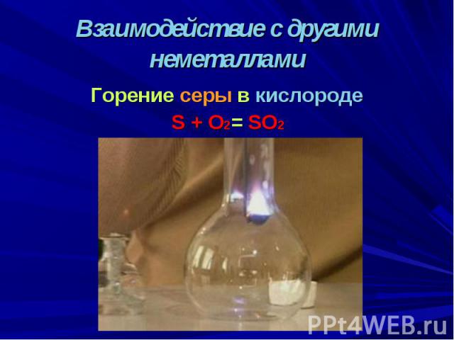 Взаимодействие с другими неметаллами Горение серы в кислороде S + O2= SO2
