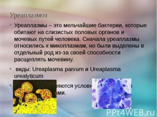Уреаплазмоз Уреаплазмы – это мельчайшие бактерии, которые обитают на слизистых п