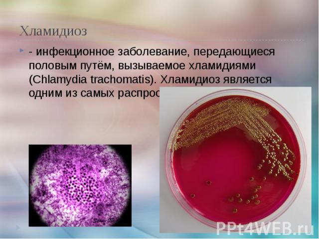 Хламидиоз - инфекционное заболевание, передающиеся половым путём, вызываемое хламидиями (Chlamydia trachomatis). Хламидиоз является одним из самых распространённых ЗППП.