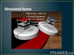 Simulated Sumo