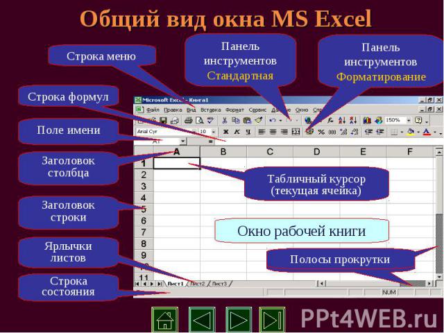 Общий вид окна MS Excel