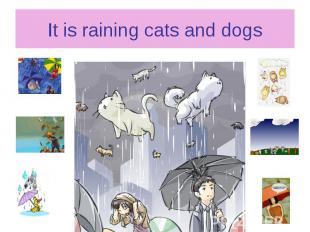 It is raining cats and dogs