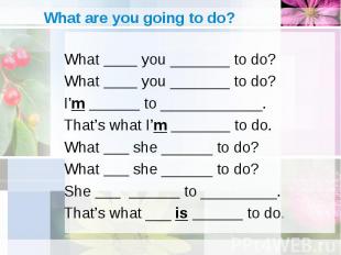What ____ you _______ to do? What ____ you _______ to do? What ____ you _______