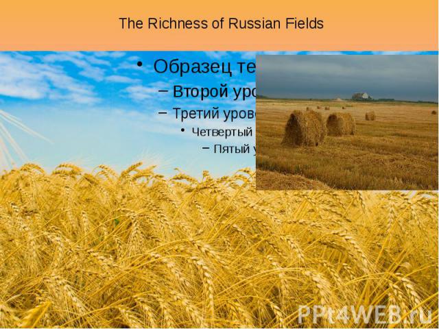 The Richness of Russian Fields