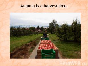 Autumn is a harvest time.