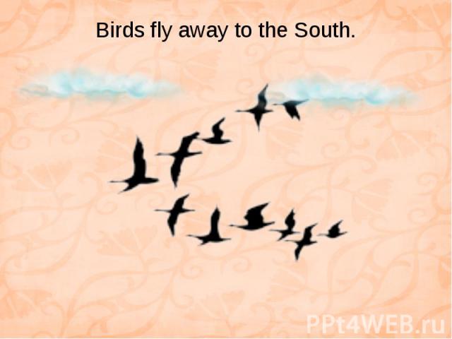 Birds fly away to the South.
