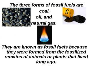 The three forms of fossil fuels are The three forms of fossil fuels are coal, oi
