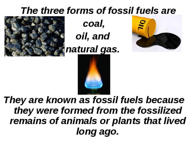 The three forms of fossil fuels are The three forms of fossil fuels are coal, oil, and natural gas. They are known as fossil fuels because they were formed from the fossilized remains of animals or plants that lived long ago.
